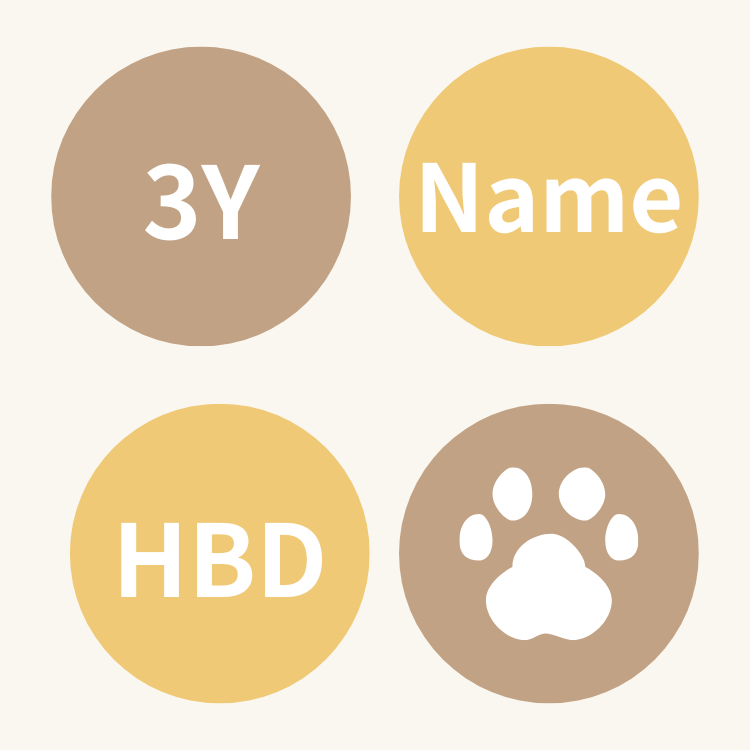 ꒰ 棕色系꒱ 杯子蛋糕四入組