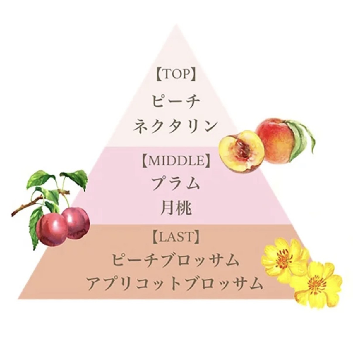 【數量限定】JP Fernanda 涼感香氛保濕身體噴霧 白桃 100ml 4541 TK260405