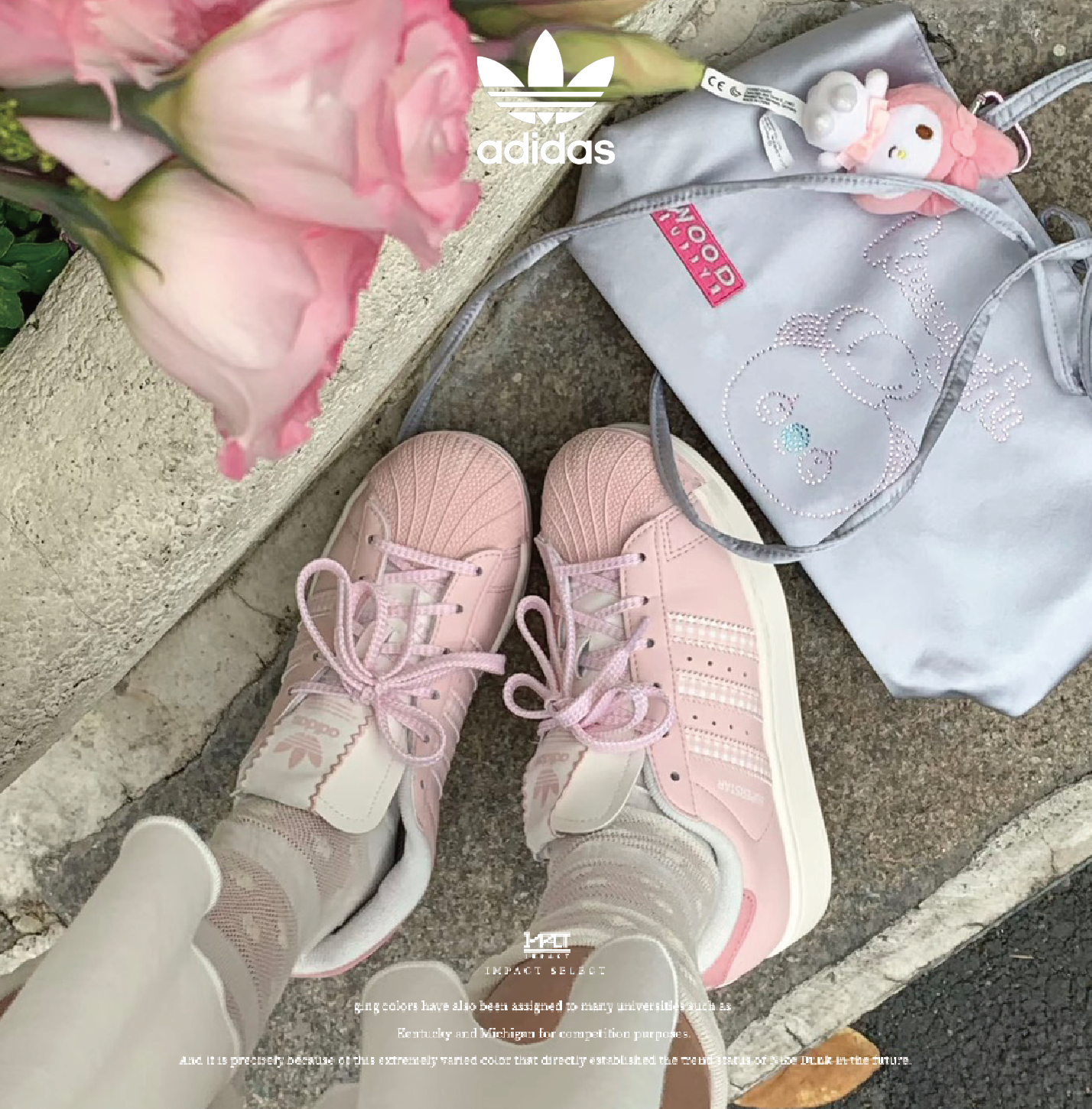 Adidas originals  SUPERSTAR  2 春日限定配色 格紋貝殼鞋 藍粉 KJ3968 HQ2646