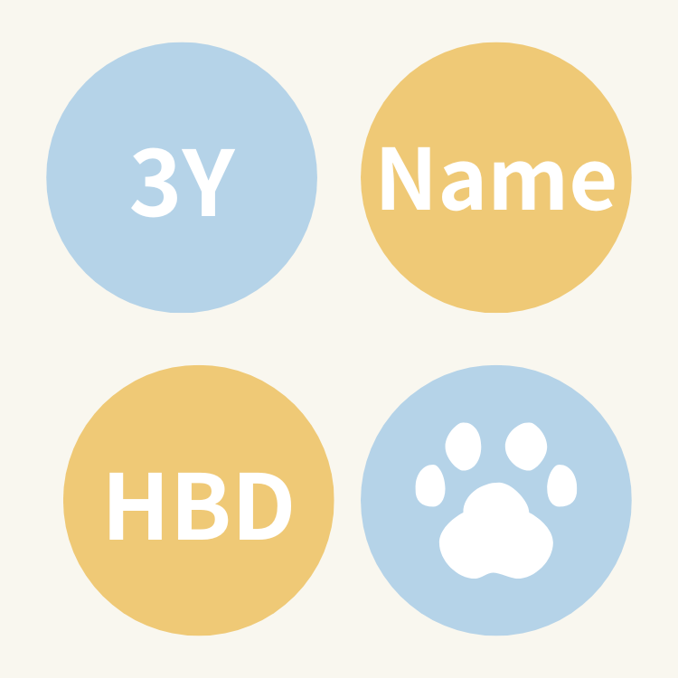 ꒰ 藍色系꒱ 杯子蛋糕四入組