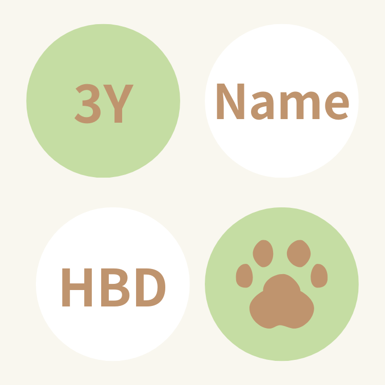 ꒰ 綠色系꒱ 杯子蛋糕四入組