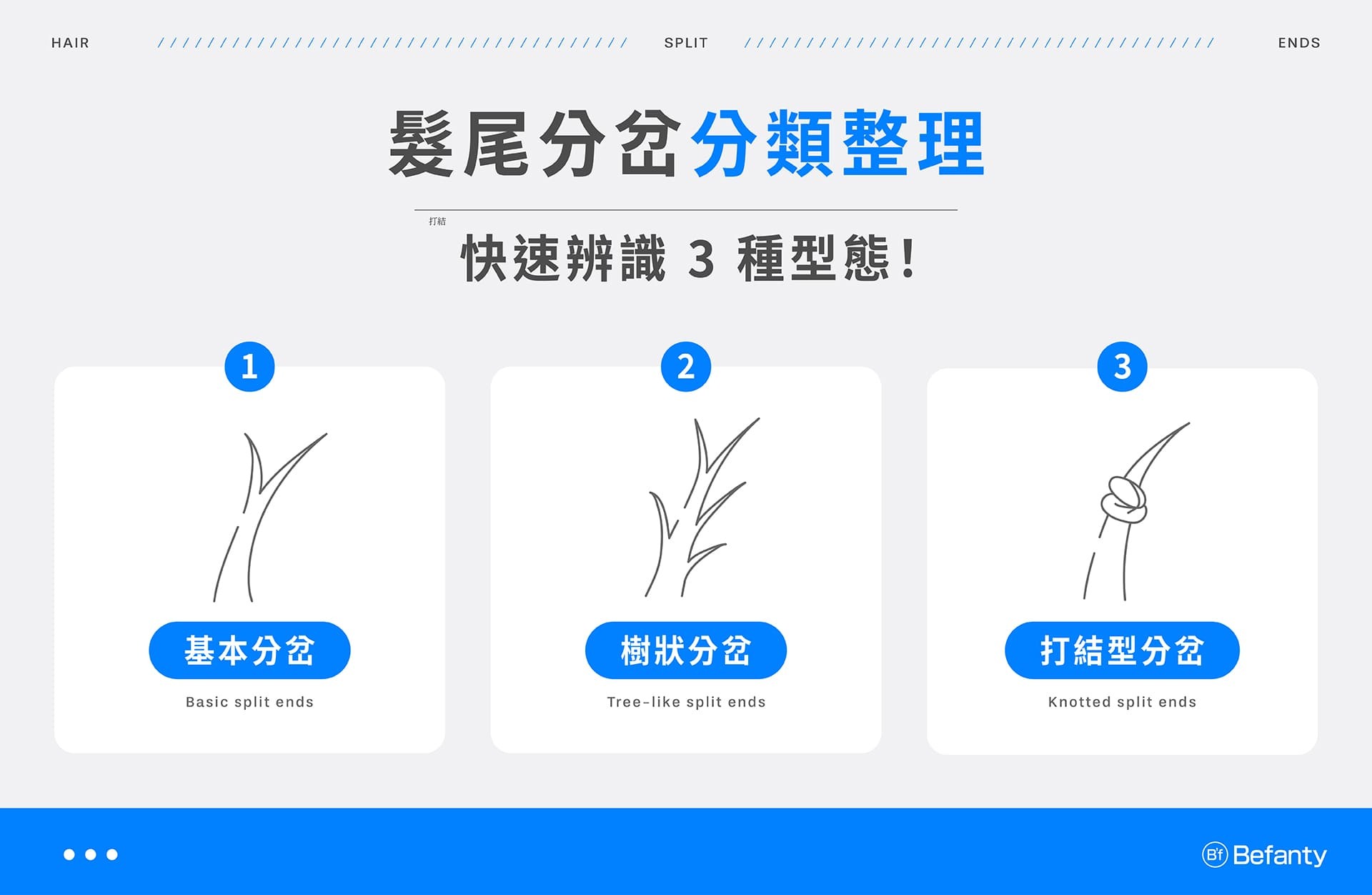 髮尾分岔3種型態:Y字型分岔、樹狀分岔、打劫型分岔