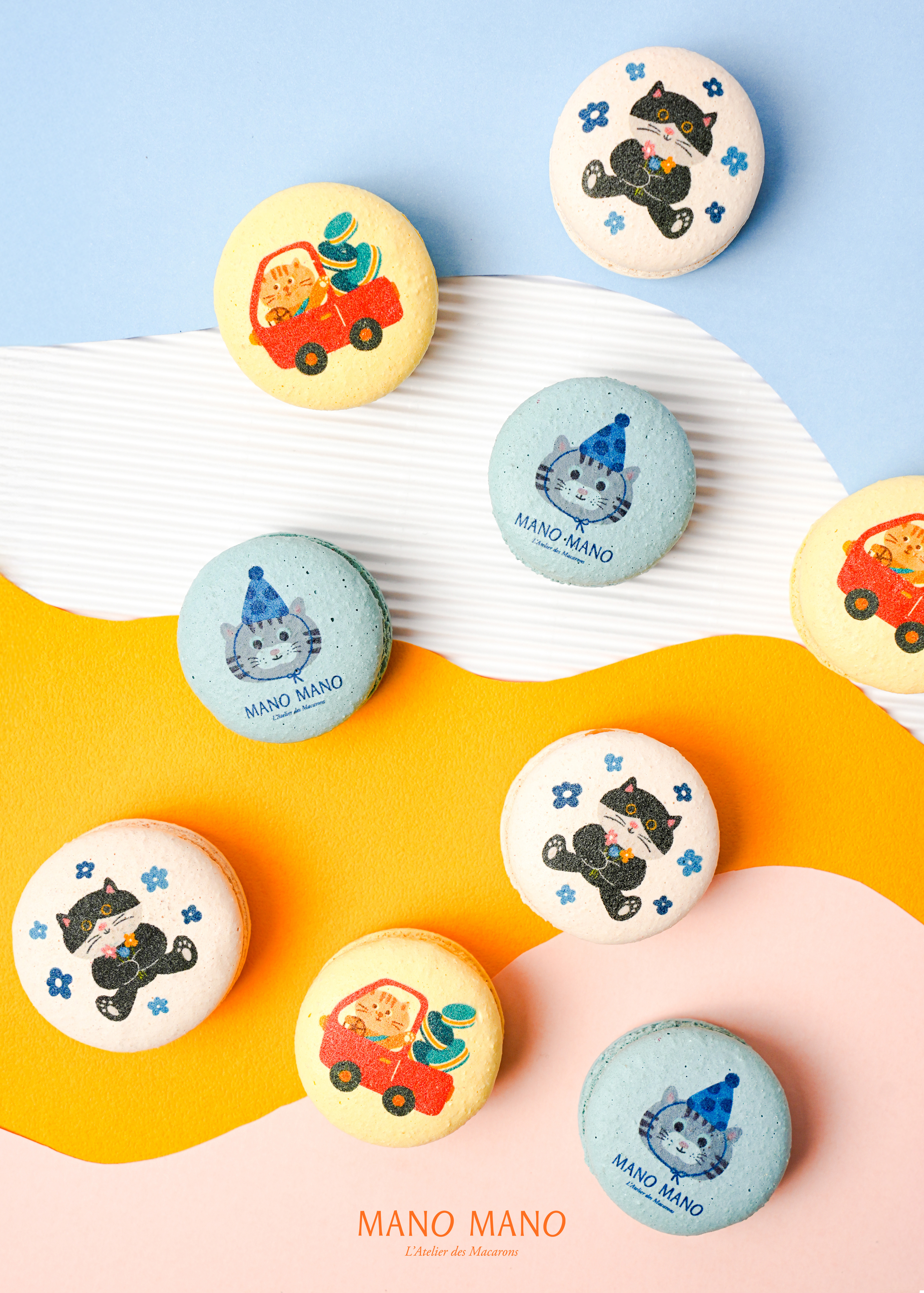 貓咪馬卡龍禮盒｜3入