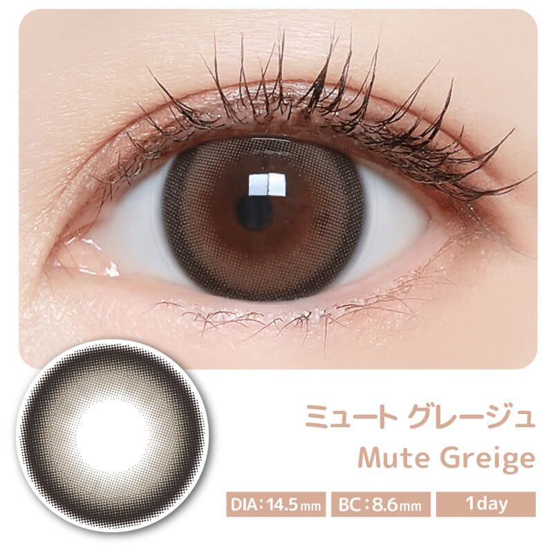 Majette 1 Day (Mute Greige) (10片)