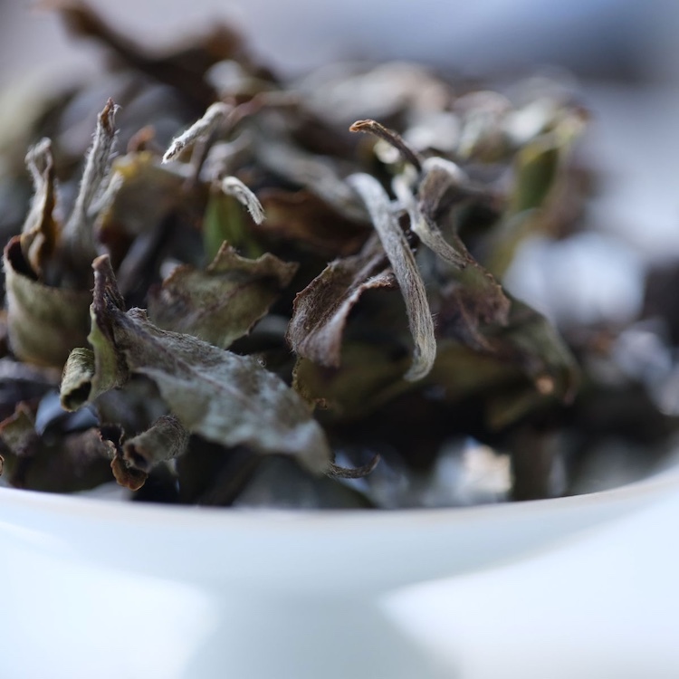 Da An Chin Shin White Tea