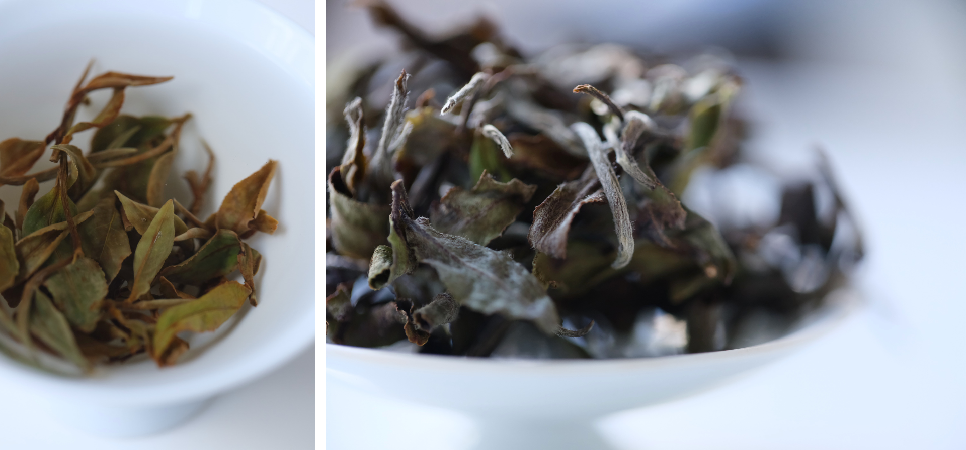 冉冉茶事茶職人藍大誠嚴選野放青心烏龍，以極致細工打造「緋牡丹」白茶。延續品牌無添加的真實理念，這杯無濾鏡的純淨台灣茶，完美綻放玫瑰花瓣與甜潤白桃果韻。