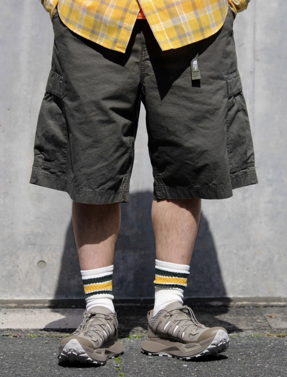 日本TNF Rock Steady Cargo Short