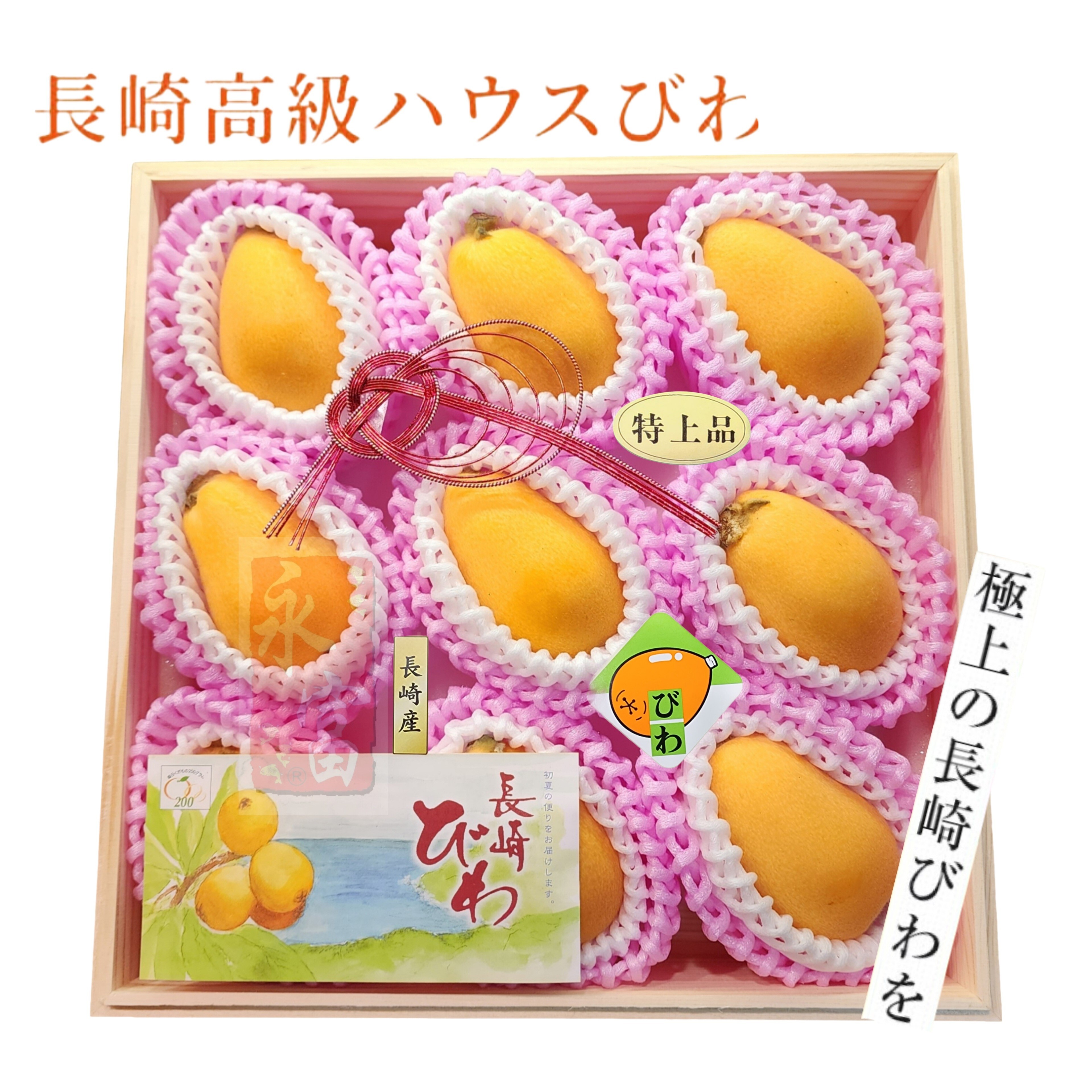 日本長崎縣枇杷果(9粒)