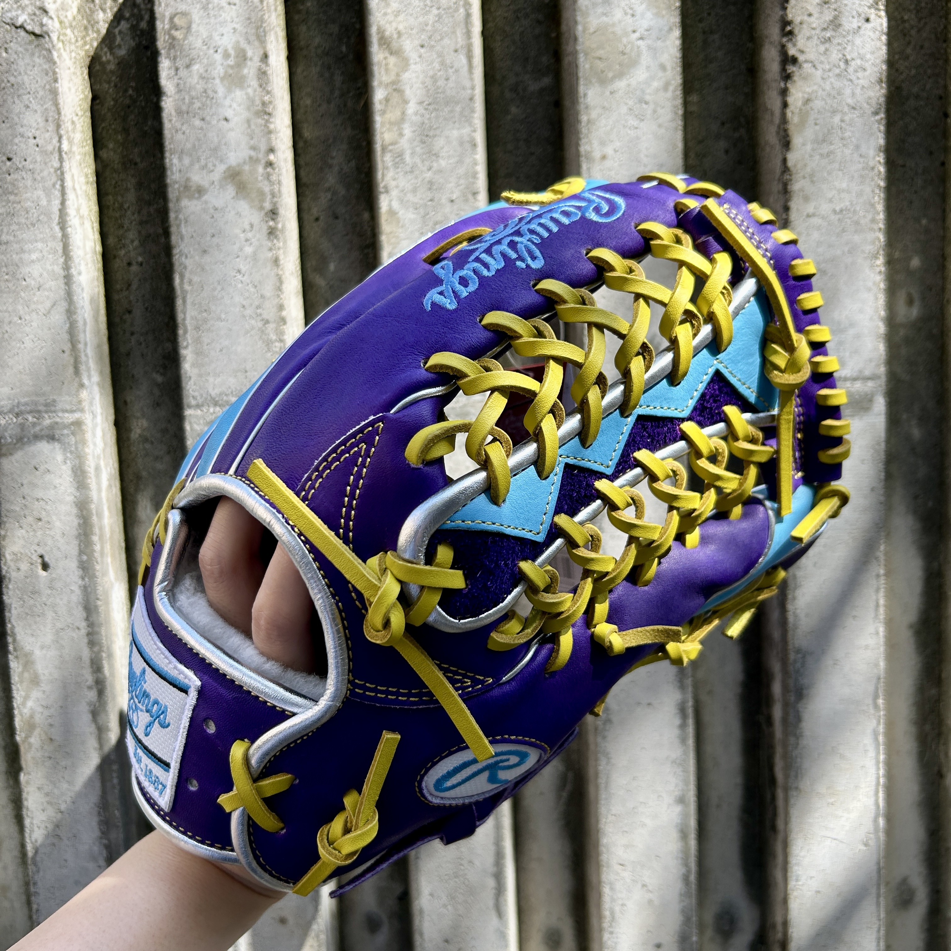 Rawlings 軟式 外野手 HOH PRO EXCEL Wizard #02 COLORS GR5FHW2CB88MG