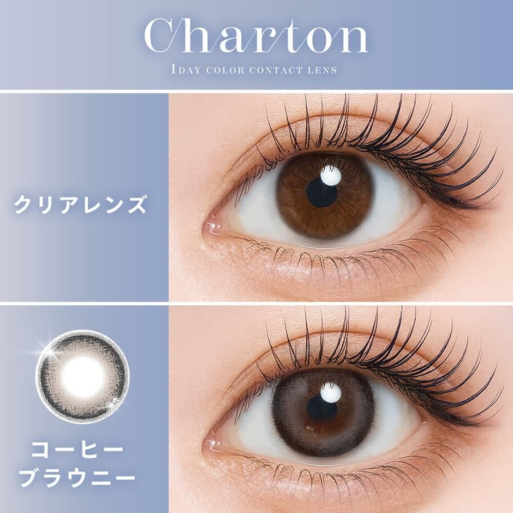 Charton 1 Day (Coffee Browie)10片