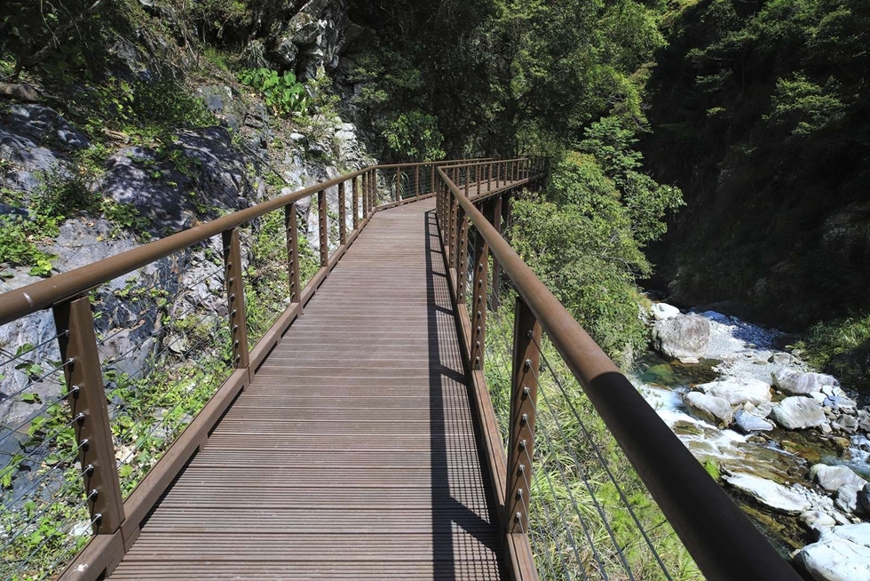 八仙山國家森林遊樂區的天籟步道是園區賞鳥的首選路線。