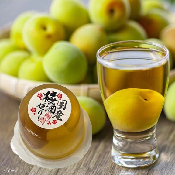 JP 日本原粒梅酒啫喱 6177 TK260406