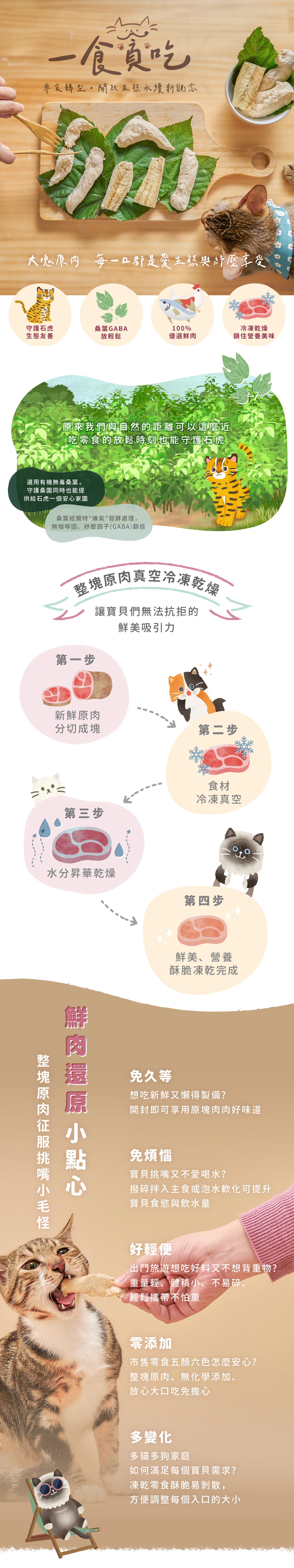 一食貪吃FUN桑凍乾介紹