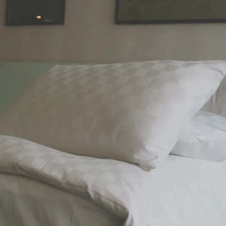 【 飯店級羽絨枕】台灣製造-台南趣淘漫旅