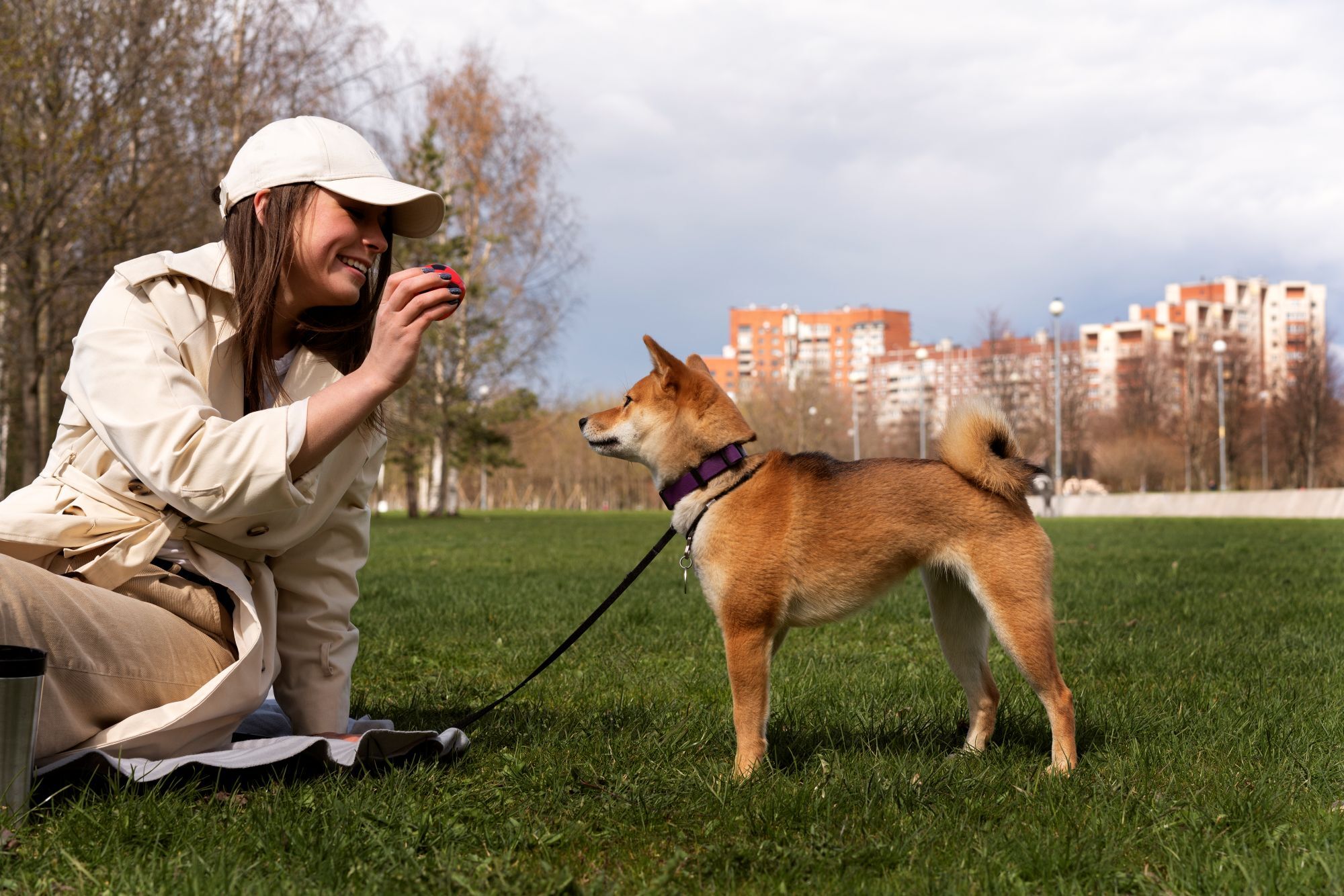 柴犬與飼主溫馨合照，養柴犬是超過十年的長期陪伴