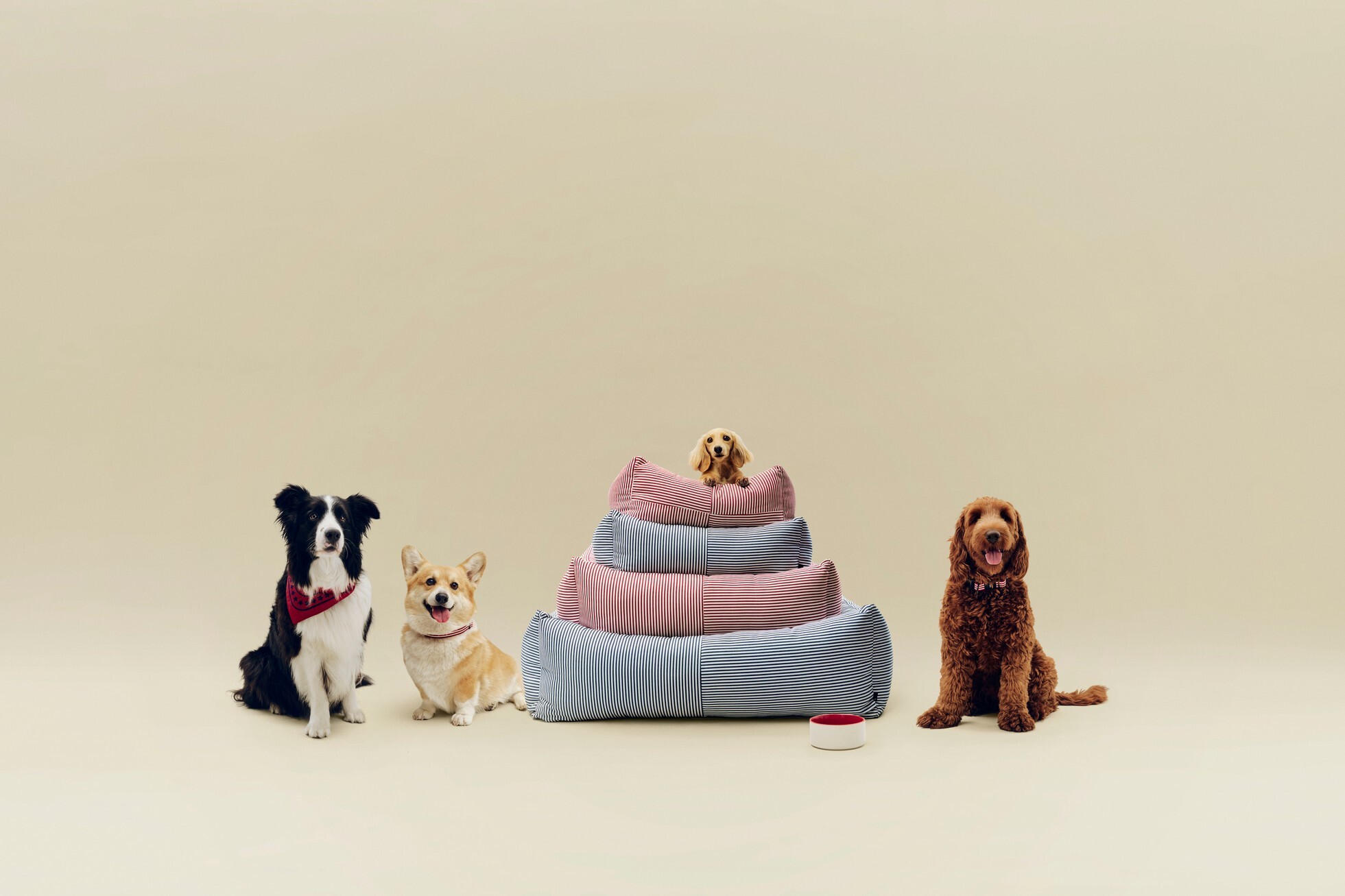 HAY DOgs 拉鍊睡床