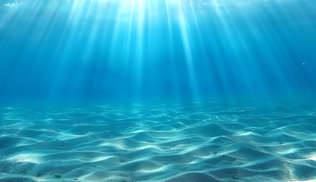 法國海洋鎂示意圖