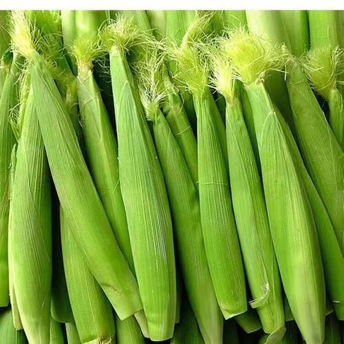 本地有機粟米仔 (斤)