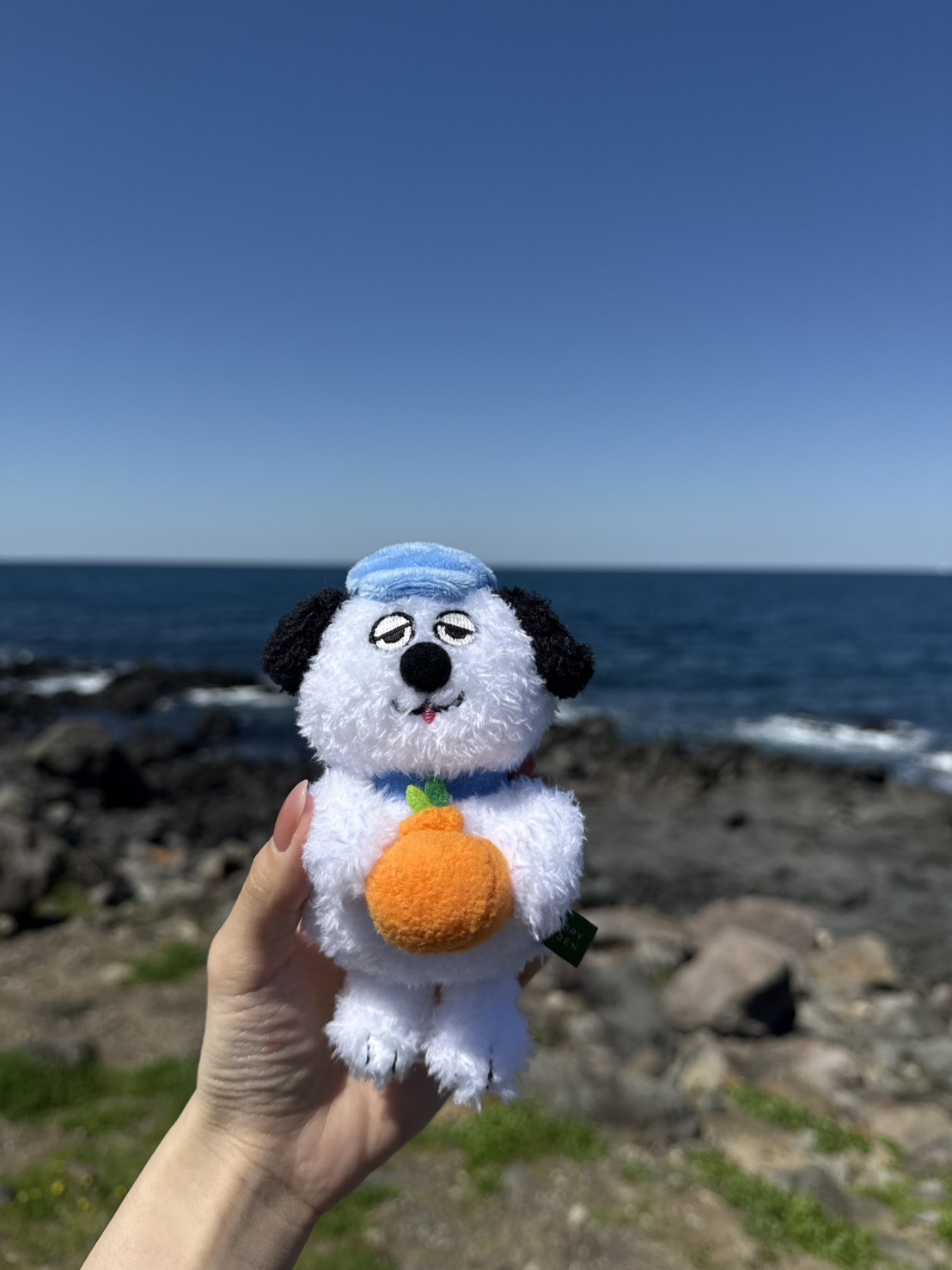 快速出貨<🇰🇷韓國濟州島限定🍊> Snoopy Garden 史努比 抱橘系列 橘子 毛絨娃娃吊飾