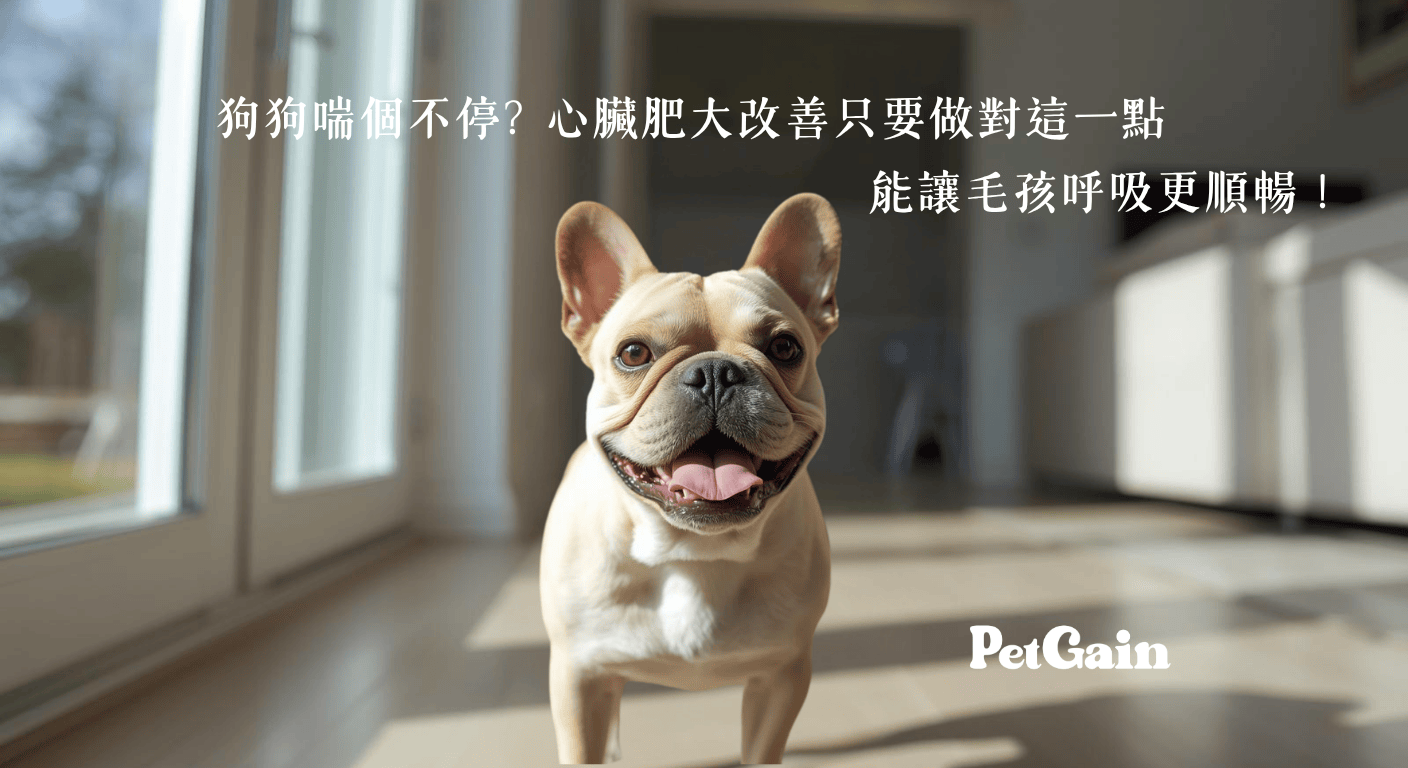 狗狗心臟肥大改善|PetGain|佩健