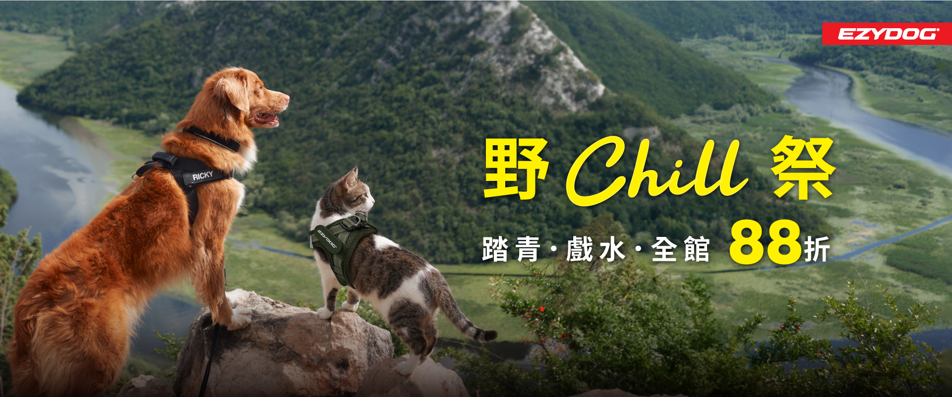 7月寵物戶外用品活動