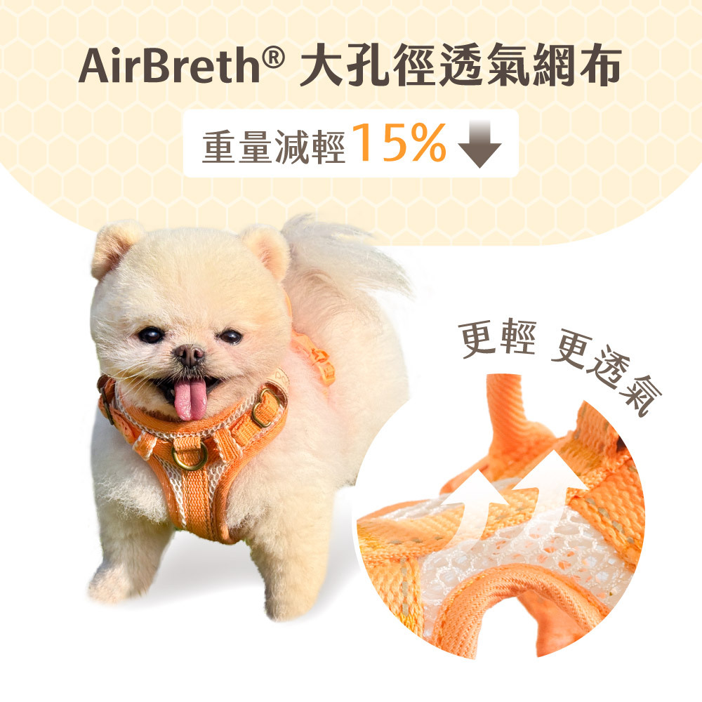 《官網限定》CoolFit 2 Color 春夏系列 會呼吸的胸背帶 (送拉繩)