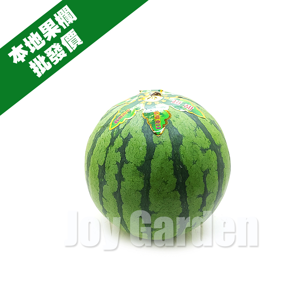 1個 - 中國小西瓜