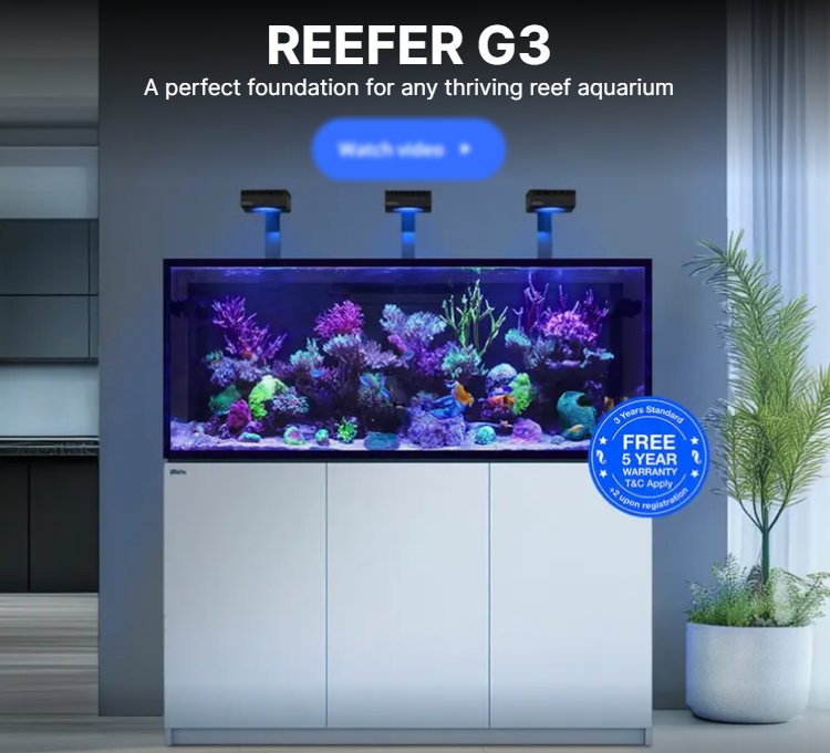 Red Sea 紅海 REEFER G3 最新邊條版 頂級底濾缸