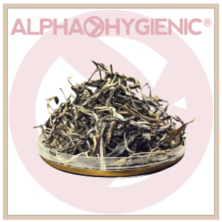 NFS-BBG0408-017 大雪山綠茶8年(約30g) (A17)