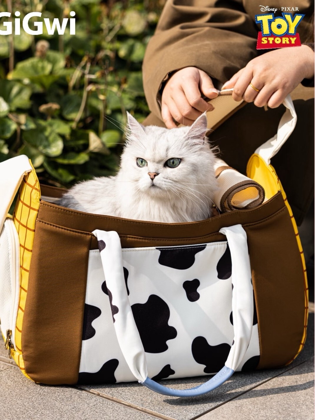 玩具總動員 胡迪 寵物外出包