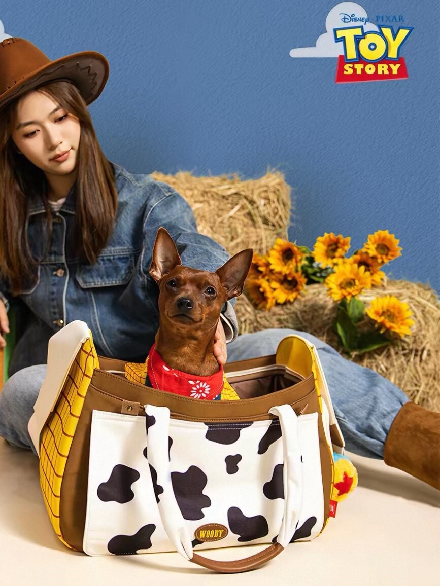 玩具總動員 胡迪 寵物外出包