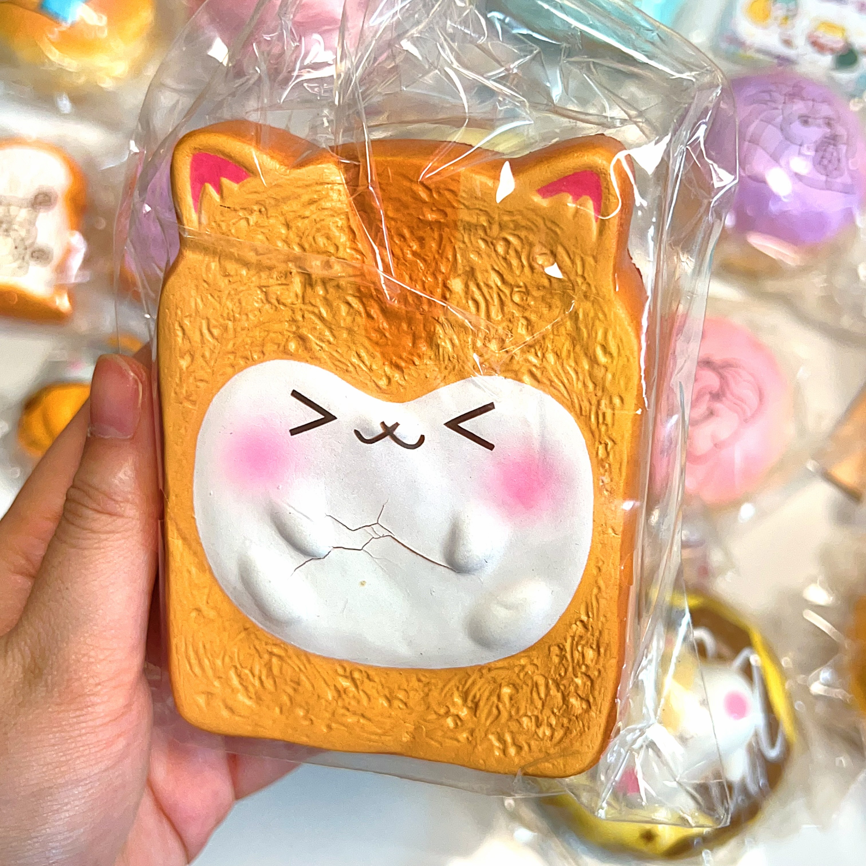 Popular boxes poli squishy bundle