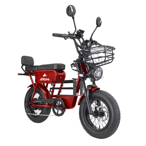 Jiisted 佶司特 16吋低跨點胖胎電動輔助自行車/晶曜紅