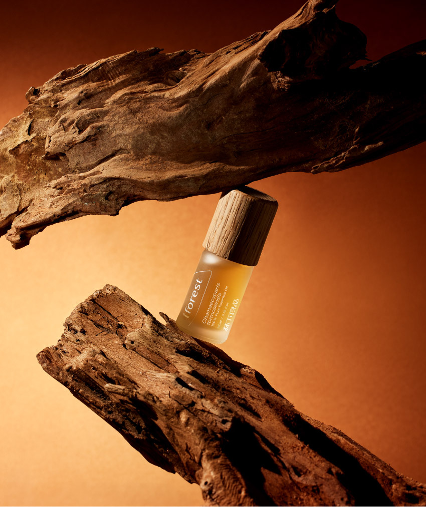 阿里山原生紅檜精油