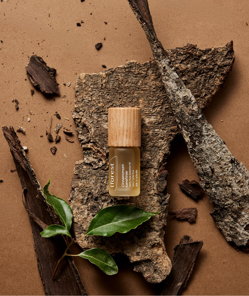 阿里山原生牛樟精油