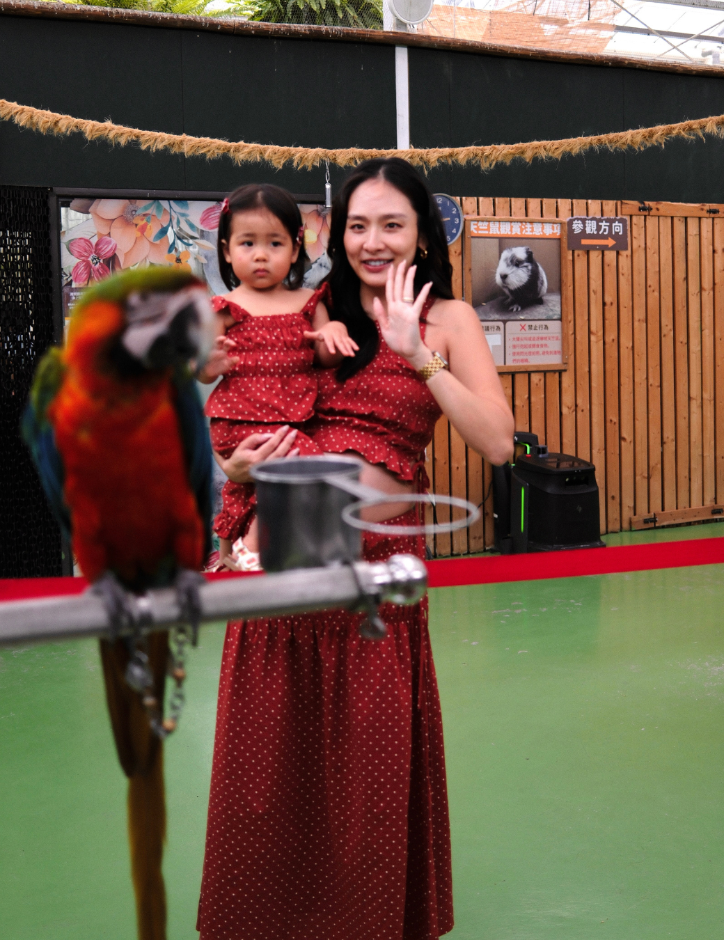 點點彈性荷葉套裝（幼童款2色/3尺寸）