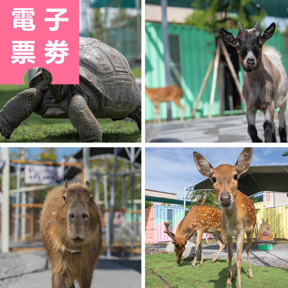 【電子票券】宜蘭｜星夢森林劇場 門票 Ⓜ
