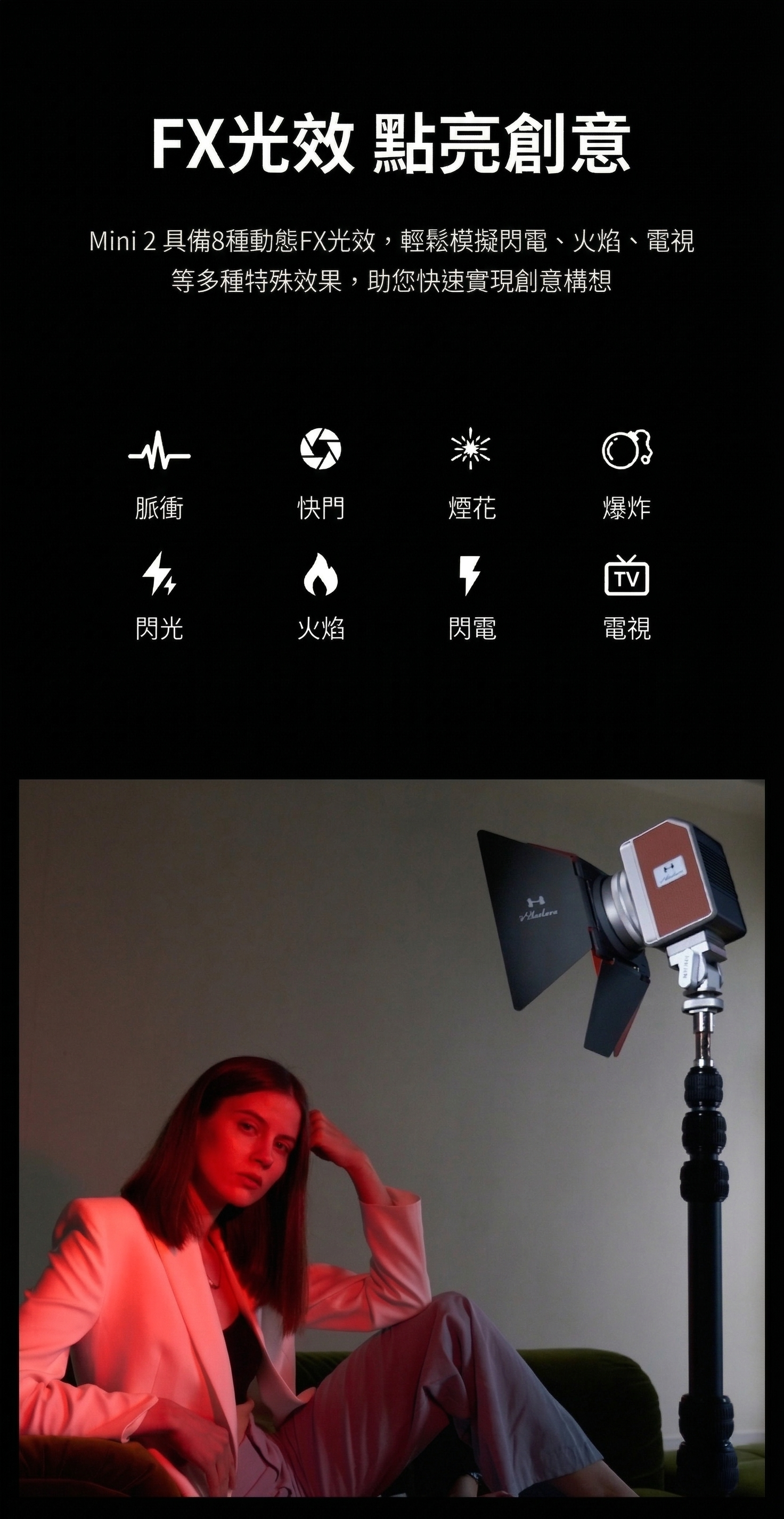 Harlowe Mini 2 產品細節