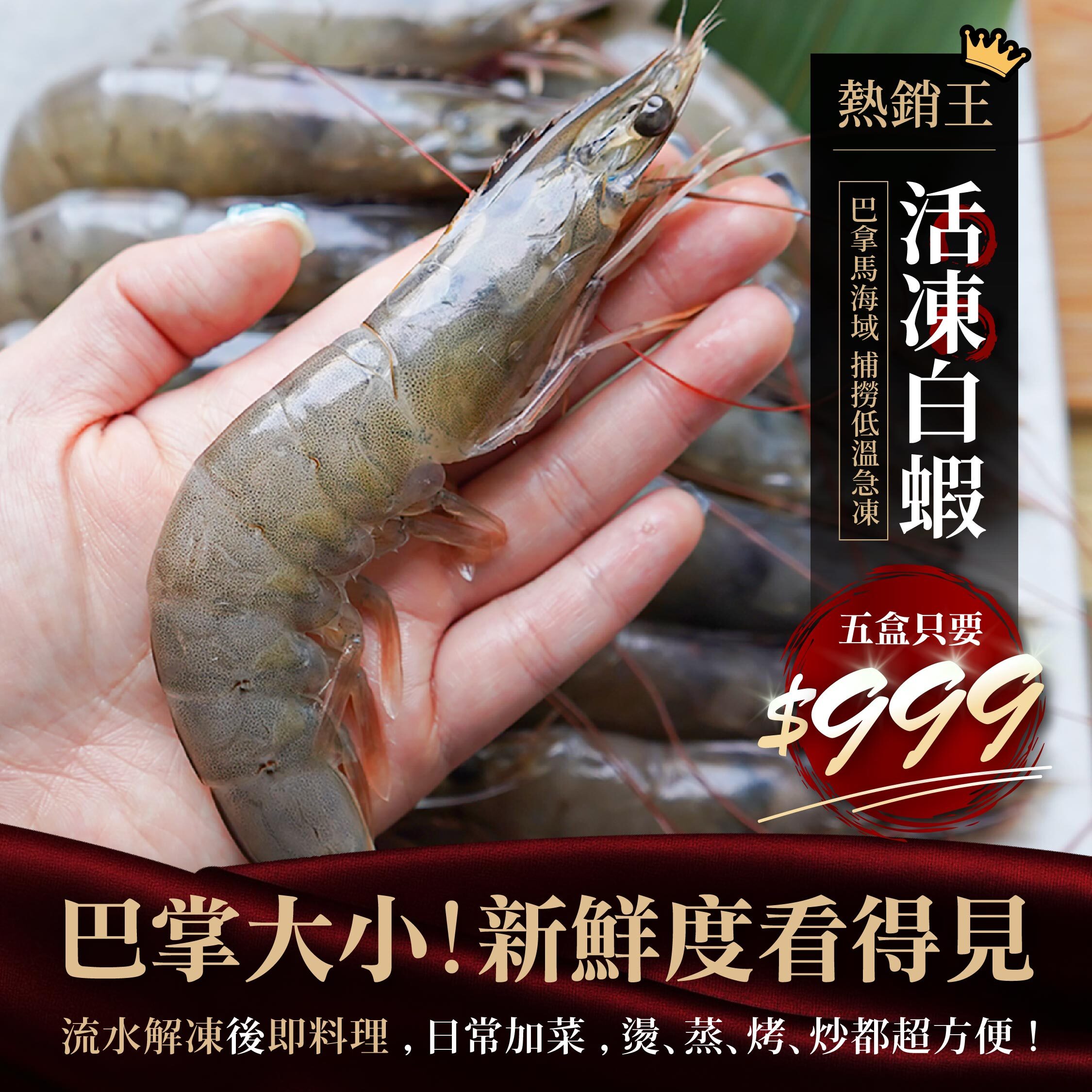紅太陽20/30活凍白蝦，5盒特惠$999 / 蝦子【不配合免運活動、煩請詳閱內文】