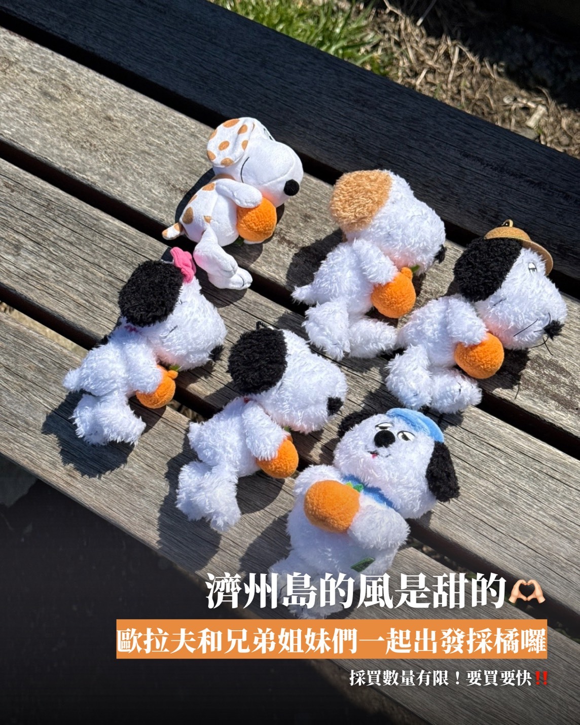 <韓國濟州島限定>Snoopy Garden 史努比 抱橘系列 橘子 毛絨娃娃吊飾