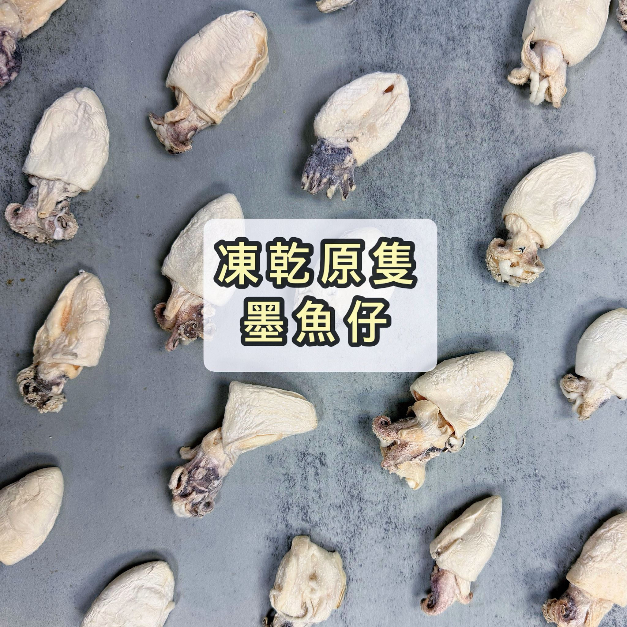 凍乾原隻墨魚仔｜香港製造