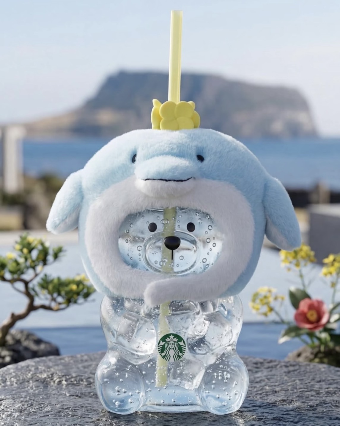 韓國代購 星巴克 濟州島 限定 海豚小熊 玻璃杯 591ml