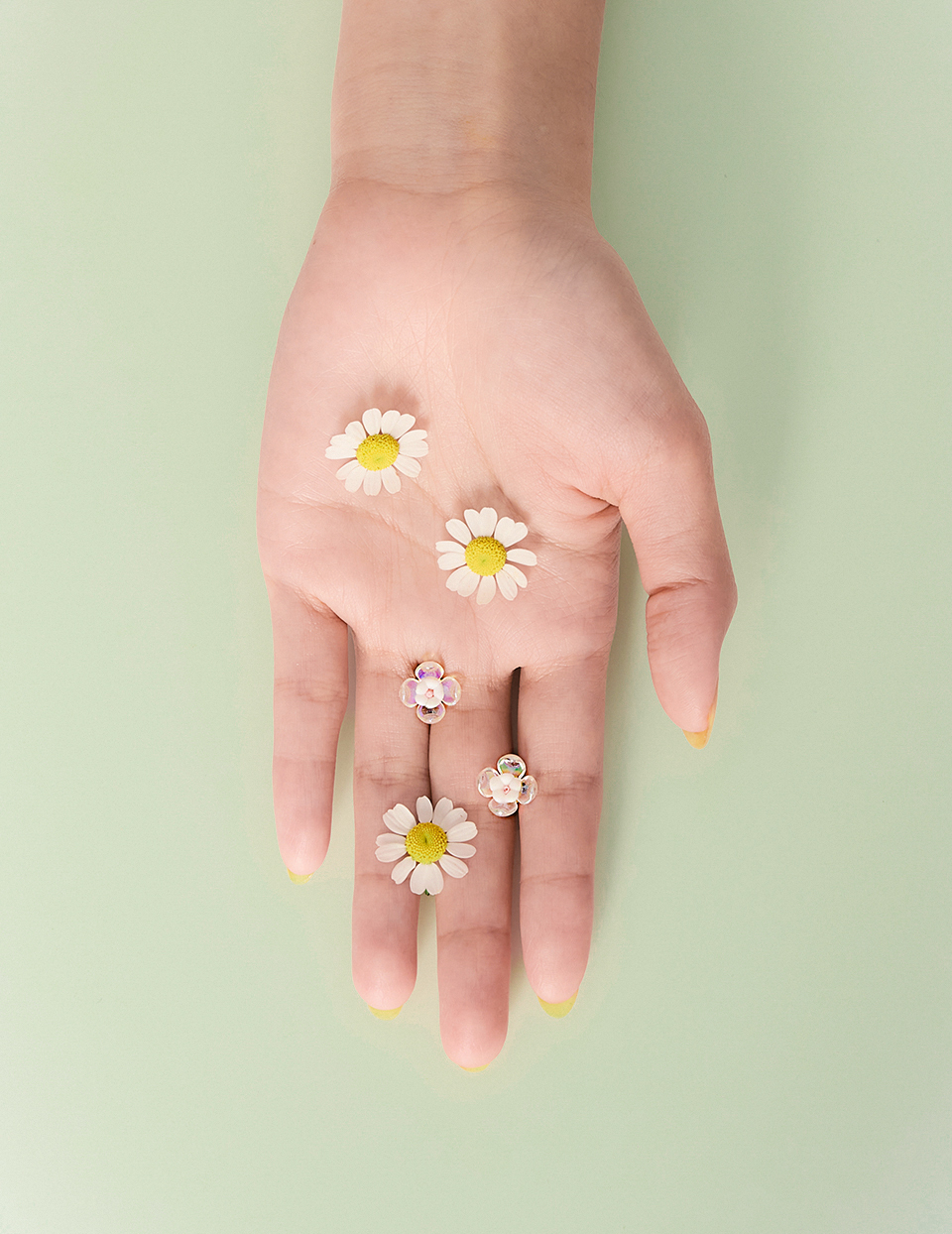 微光山茶花。針式耳環