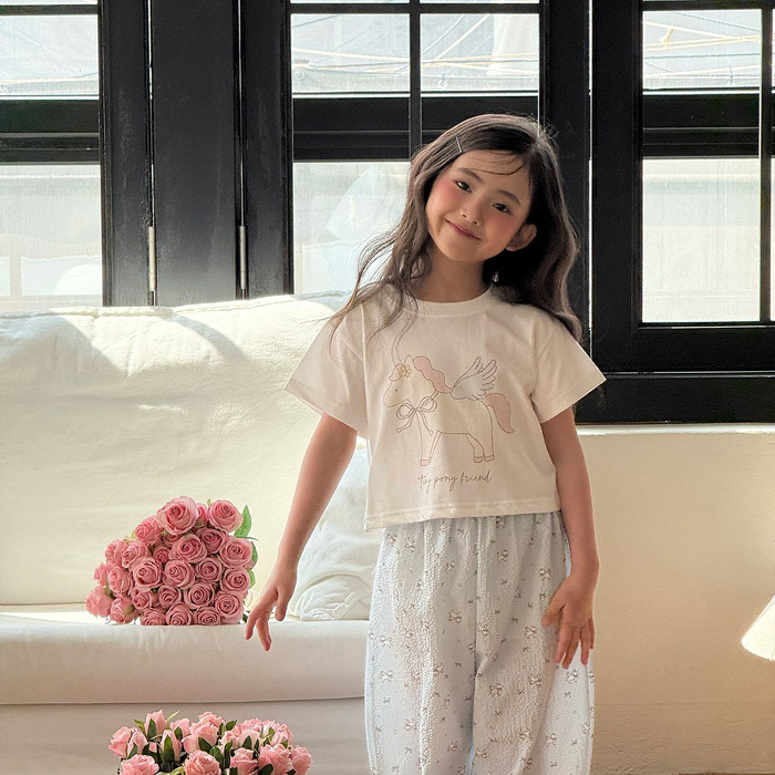 正韓夏NINIBELLO 兩色蘋果/飛馬短版上衣