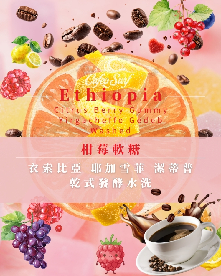 柑莓軟糖｜衣索比亞 耶加雪菲 潔蒂普 乾式發酵水洗 G1