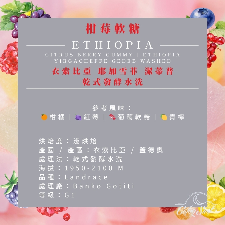 柑莓軟糖｜衣索比亞 耶加雪菲 潔蒂普 乾式發酵水洗 G1