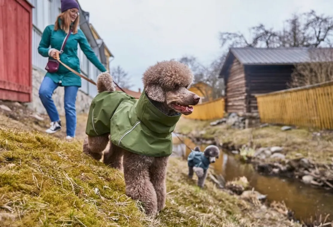 芬蘭 Hurtta- 極輕量Mudventure機能防水風雨衣ECO/ 雪松