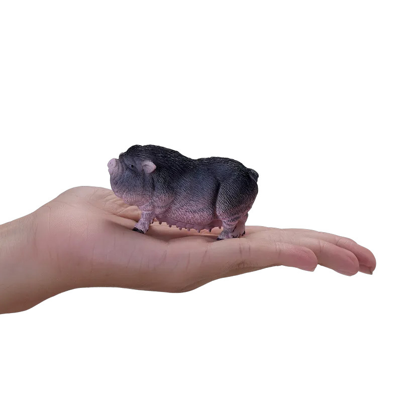 大肚豬