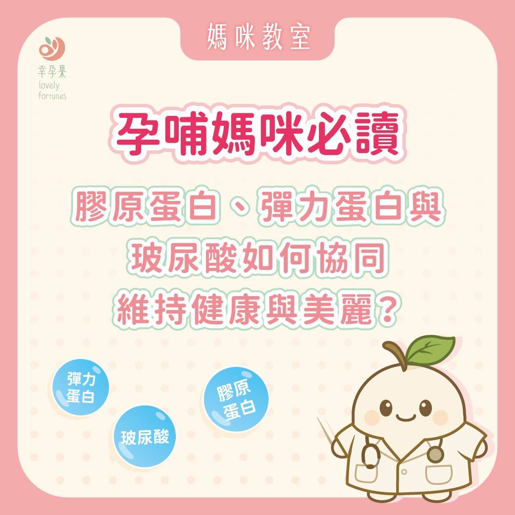 幸孕果媽咪教室 孕哺媽咪必讀：膠原蛋白、彈力蛋白與玻尿酸如何協同維持健康與美麗？