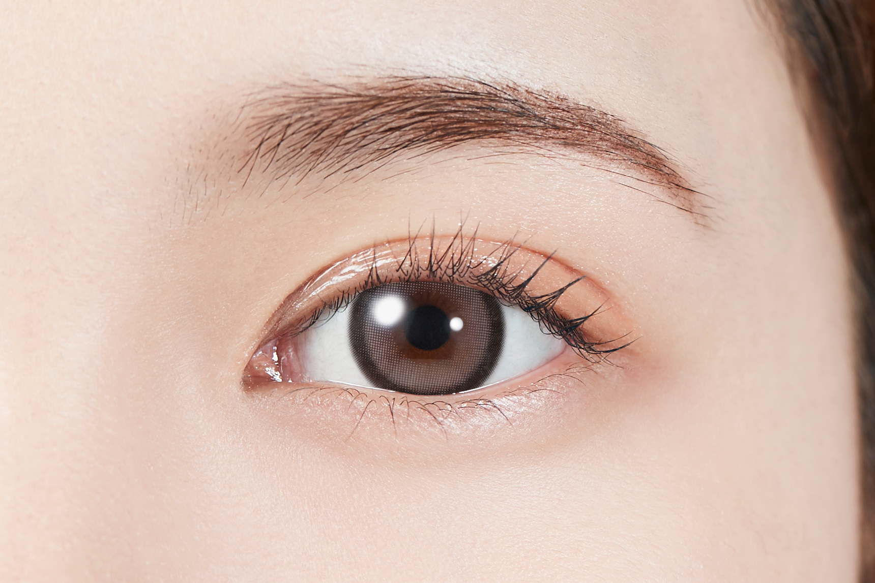 Molak 1Day Color Contact Lenses 日本Molak 每日即棄有色隱形眼鏡 10片(Gray Bunny)